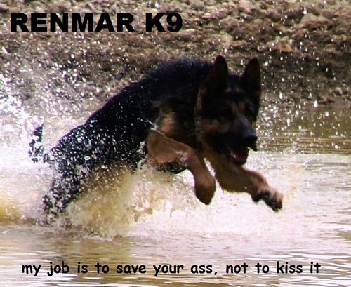 RENMAR K9